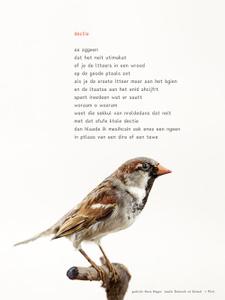 bloemem hoekje a4 posters boeken bloemem hoekje a4 posters boeken